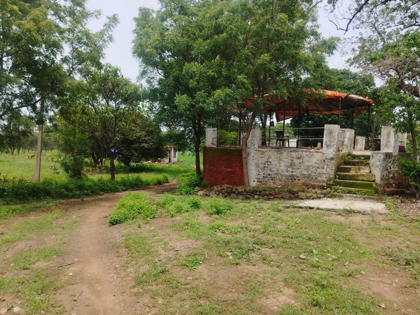 Lake View