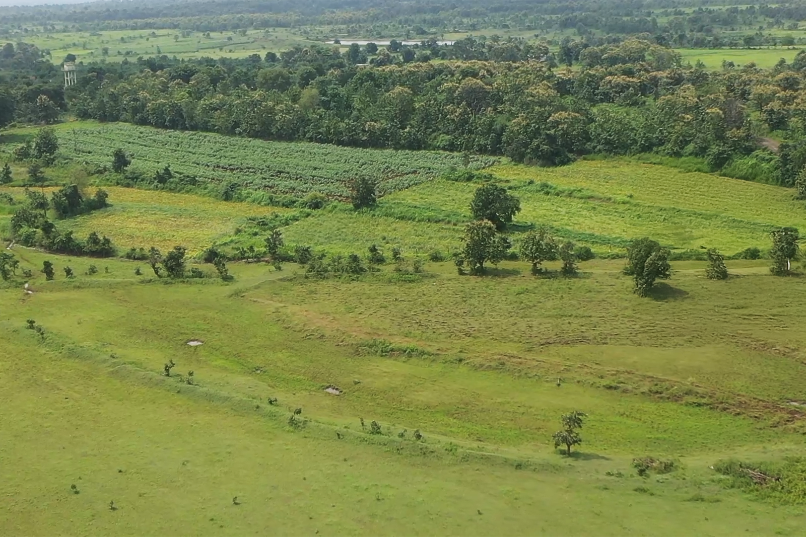 Green Valley